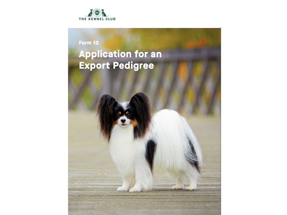 Kennel club export pedigree deals