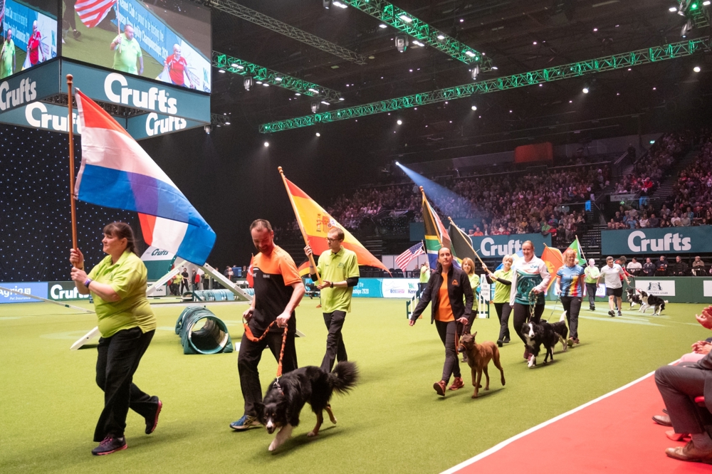 Entries for Crufts 2024 up on last year | The Kennel Club
Crufts, an international affair. Credit The Kennel Club
