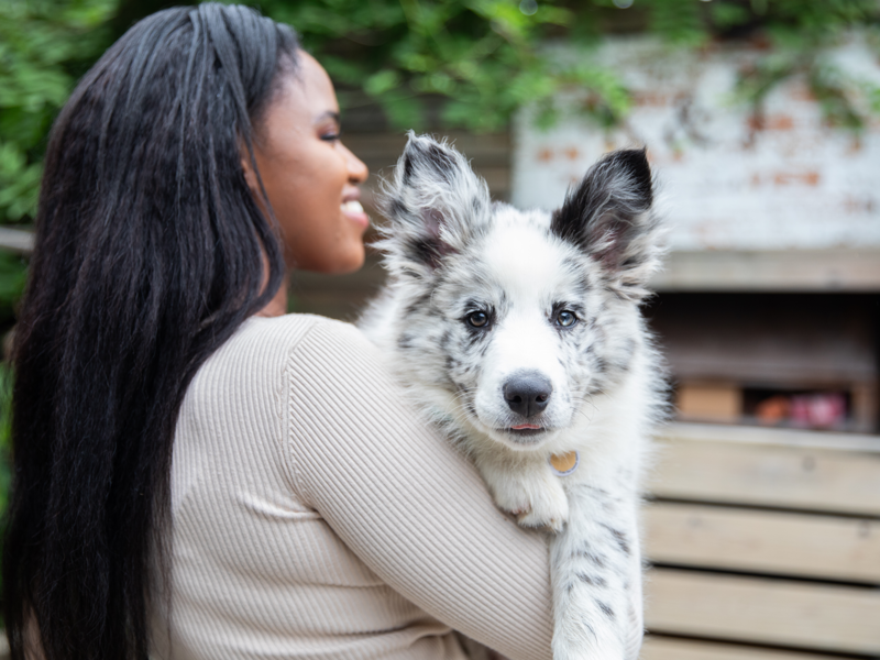 Are you ready to own a dog? There’s a lot to think about, from time and finances, to lifestyle changes.
